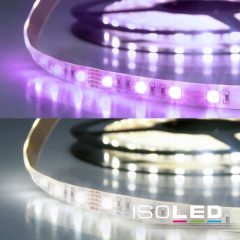   LED SIL RGB+KW flexibilis szalag, 24V, 19W, IP20, 4in1 chip, 60 LED/m