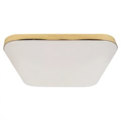 Ceiling  NEMO GOLD 17W LED