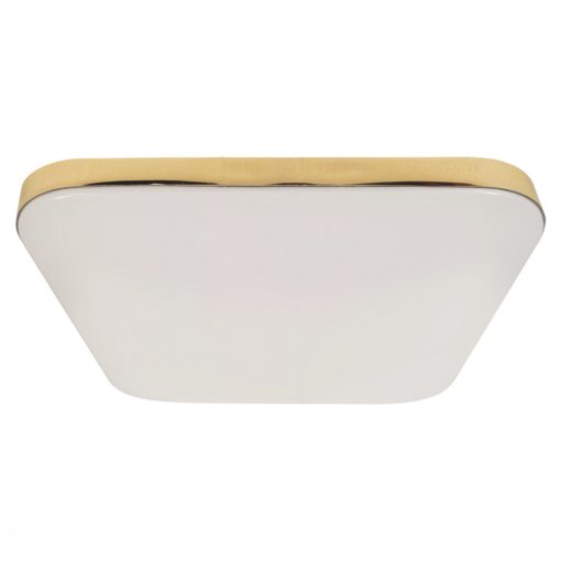 Ceiling  NEMO GOLD 17W LED