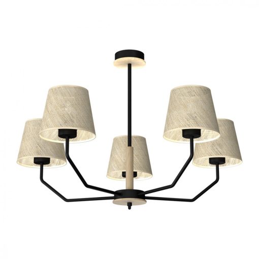 Pendant lamp ETNA Black 5xE27