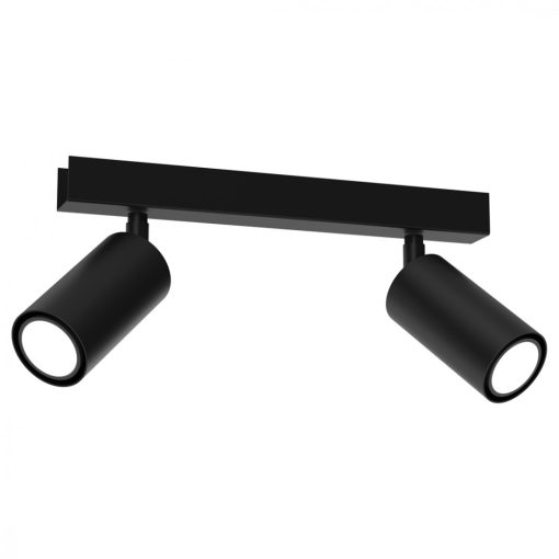 Ceiling  lamp HUDSON BLACK 2xGU10